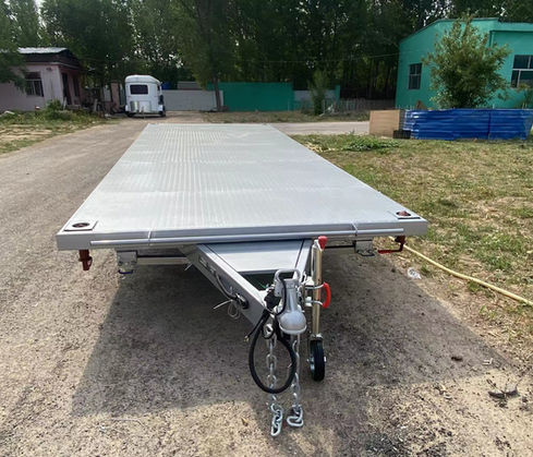 Commercial Grade 2 Horse Straight Load Float Trailer